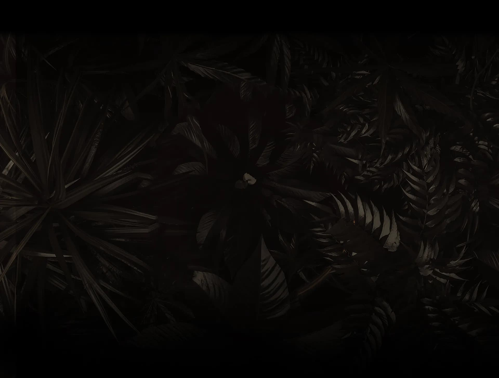 Welcome Background